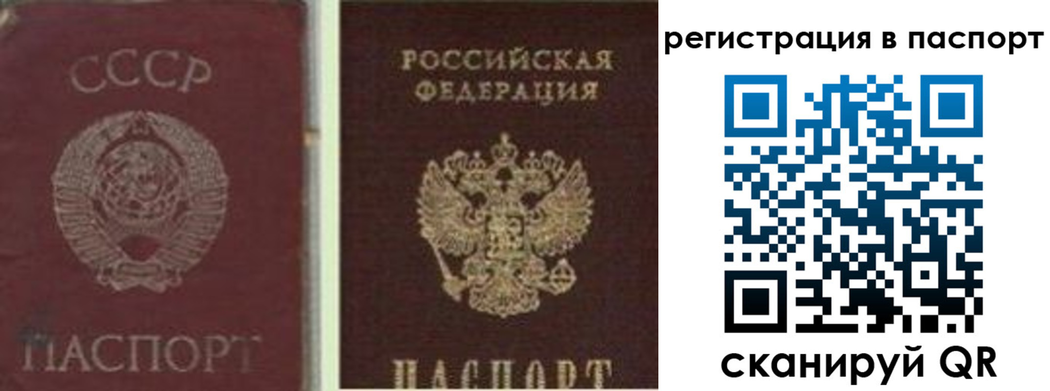 прописка для работы в Гусеве